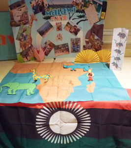 Country displays prepared by student